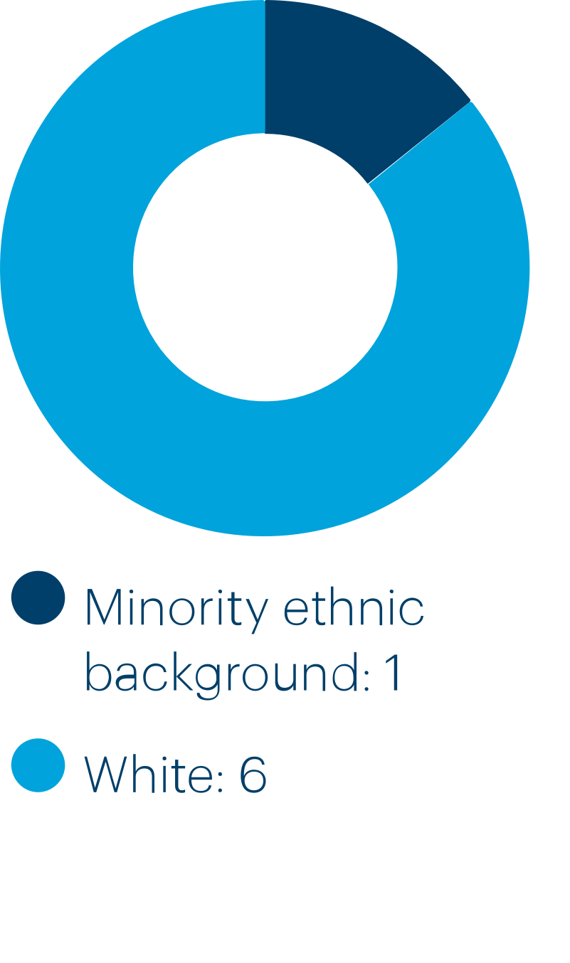 Board ethnic diversity