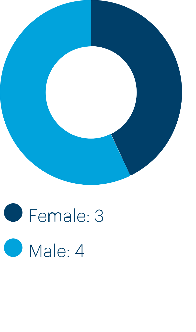 Board gender diversity