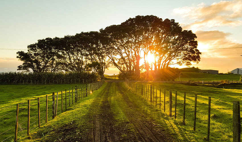 Our approach to sustainability