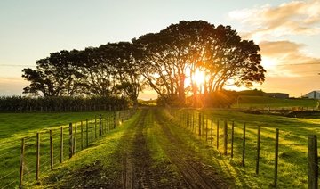 Our approach to sustainability